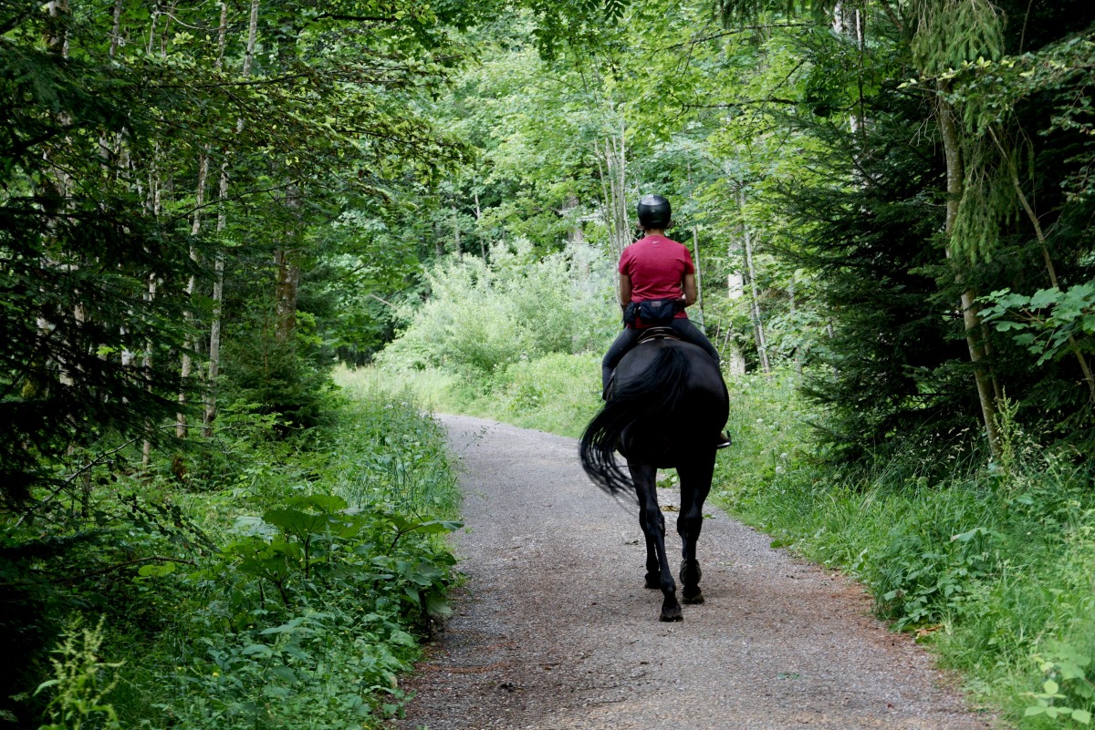 A l'extérieur du camping Camping Mer et Vacances - Nord