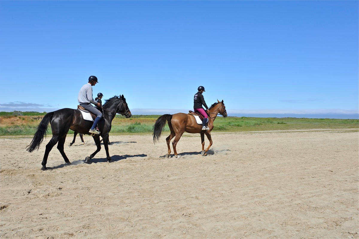 A l'extérieur du camping Camping de La Plage - Pas-de-Calais