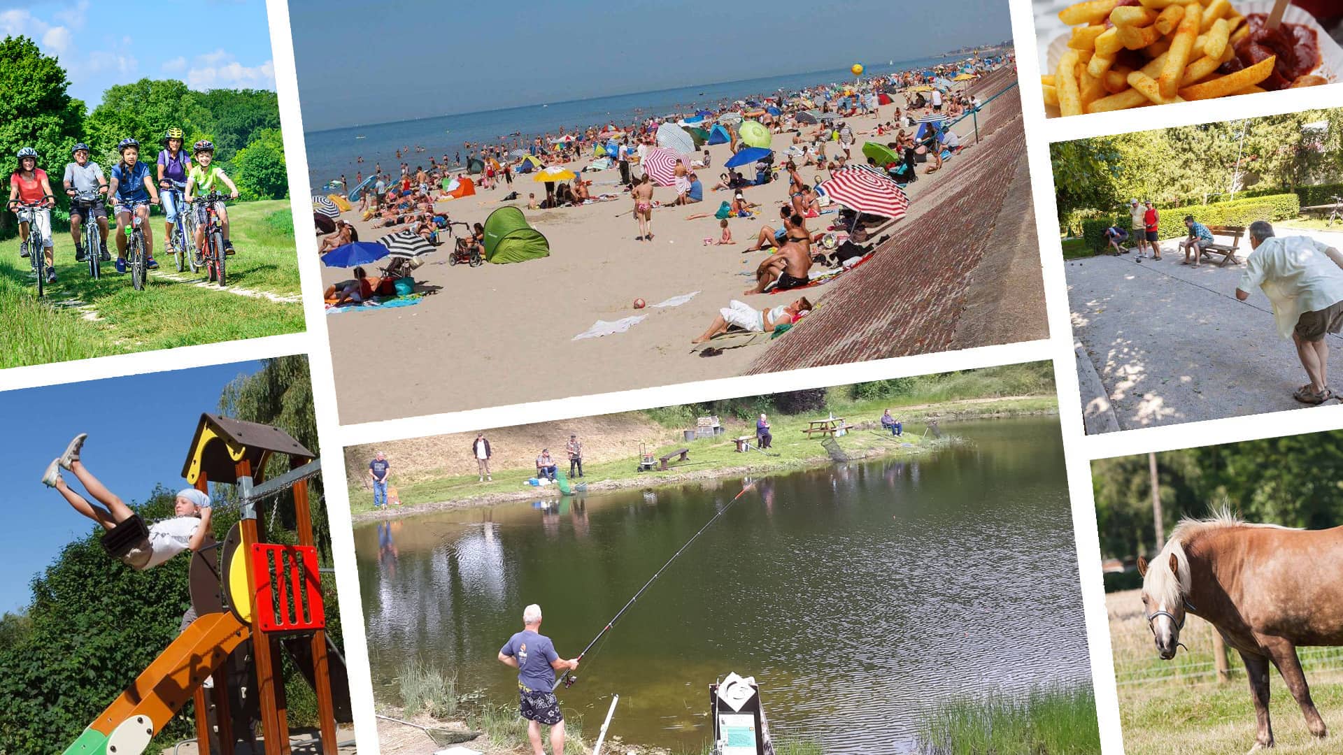 Etang de pêche et nombreuses activités - Ferme de la Hooghe Moote