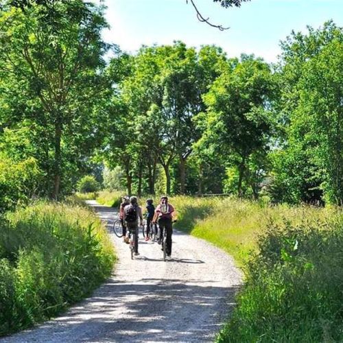 Camping de La Motte