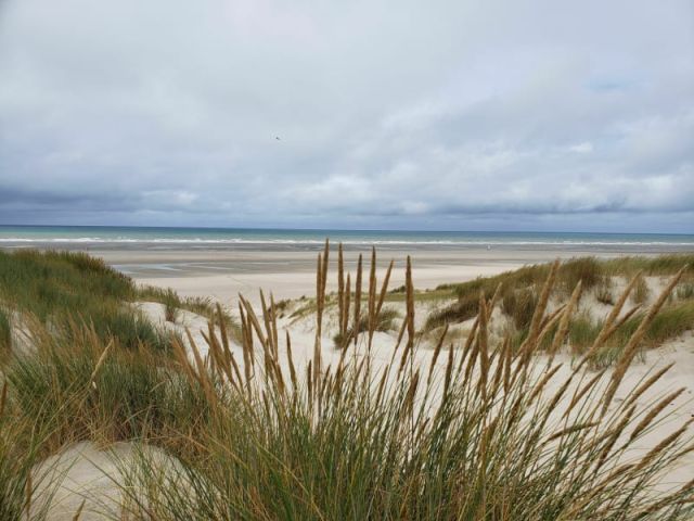 Dune du Royon proche de : Camping de La Motte