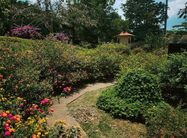 Jardin Botanique du Beau Pays proche de : Camping de La Plage