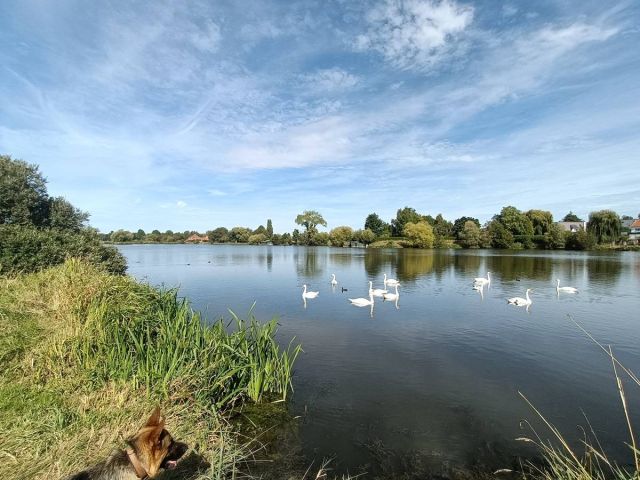 Photo du camping : Camping Beauséjour - Pas-de-Calais
