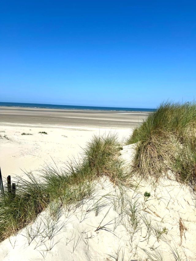 Dune de Sainte-Cécile proche de : Camping Cristal d'Opale