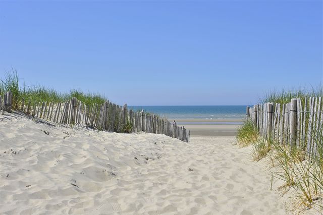 Dune du Perroquet proche de : Camping Le Perroquet