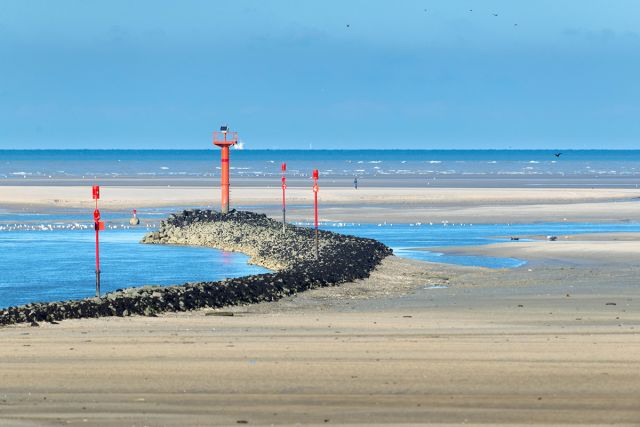 Réserve naturelle nationale de la Baie de Canche proche de : Camping de l'Épy