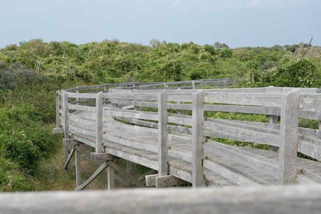 Réserve naturelle du Platier d'Oye proche de : Camping Le Perroquet