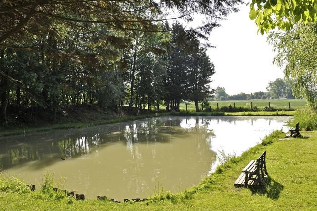 Photo du camping : Les Alouettes et l'Image - Nord